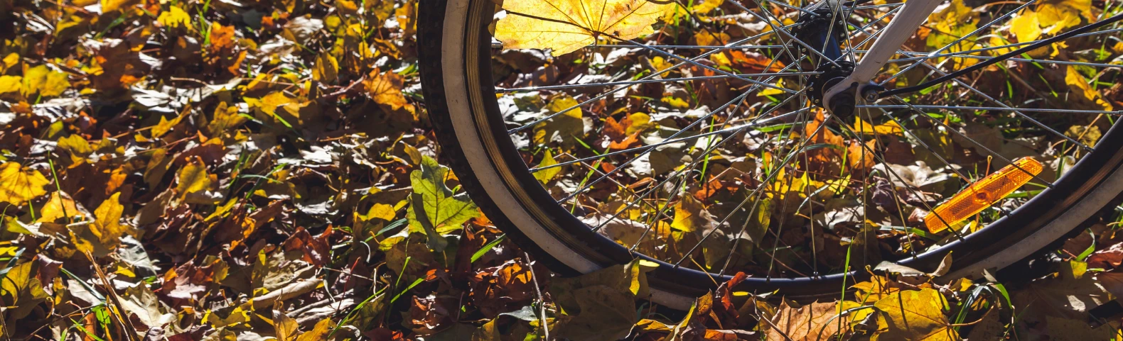 Jak przygotować rower do jesiennej jazdy? Poradnik dla kolarzy i miłośników MTB
