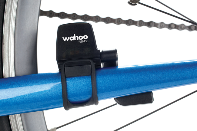 Sensor Wahoo Blue Sc Kadencja/Prędkość