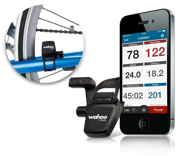 Sensor Wahoo Blue Sc Kadencja/Prędkość