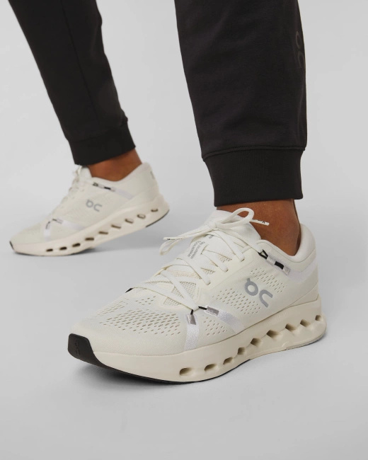 Buty Męskie On Running Cloudsuer 2