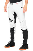 Spodnie męskie 100% R-CORE X Pants silver