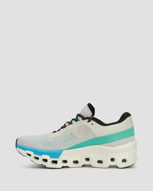 Buty damskie On Running Cloudmonster 2