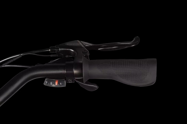 Rower elektryczny Bird Bike - Stealth Black